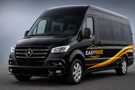 14-SEATER MINI BUS