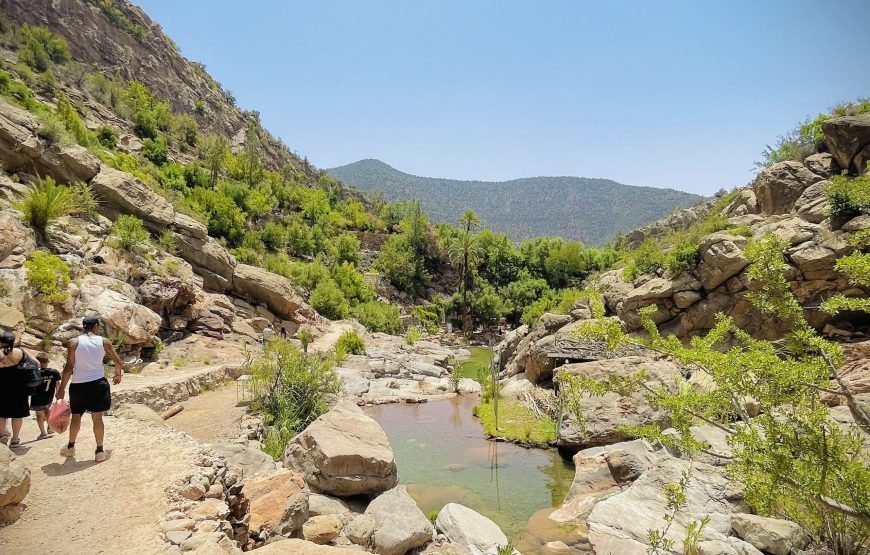 Paradise Valley Agadir Day Trip