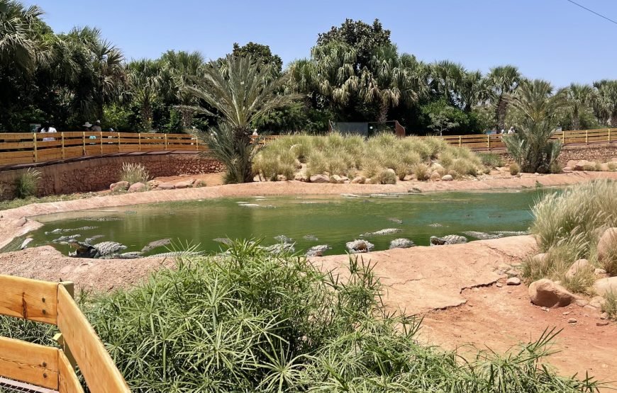 7 Day Taghazout Adventure Package – Surf & Activities