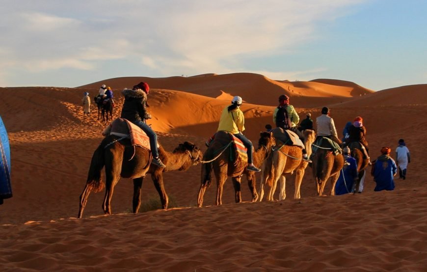 7 Day Taghazout Adventure Package – Surf & Activities